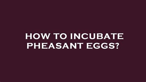 how to incubate pheasant eggs.